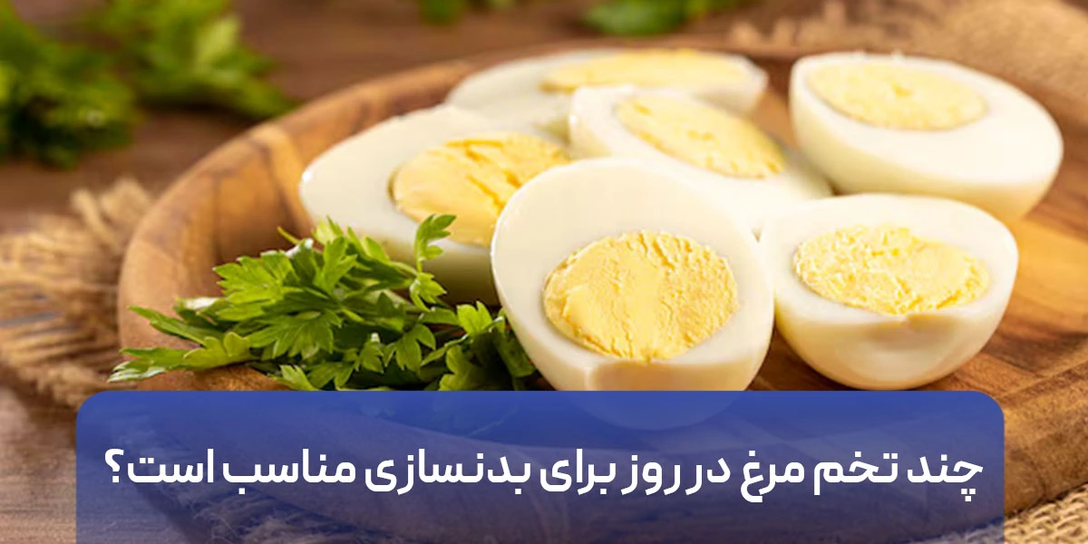 چند تخم مرغ در روز برای بدنسازی مناسب است؟