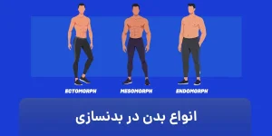 انواع بدن در بدنسازی