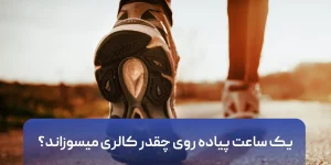 یک ساعت پیاده روی چقدر کالری میسوزاند