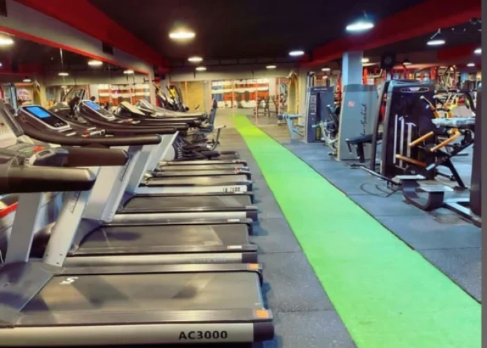 004eed855395d9c36cc30581ed8b052a