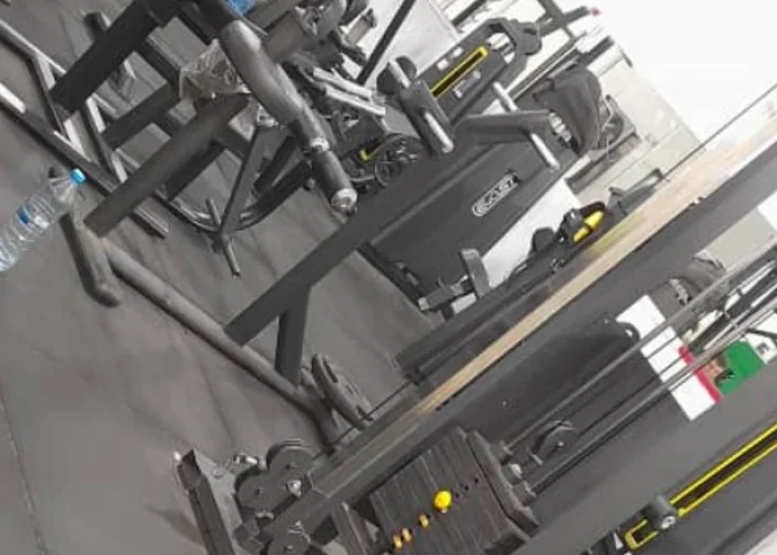 019ffff15ad8d12959a697099c73323f