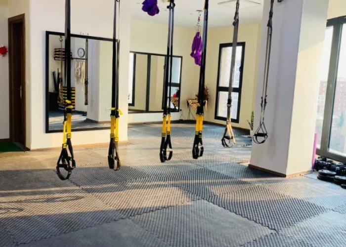 04b6a08aef6877a84c260a5f0cda3150