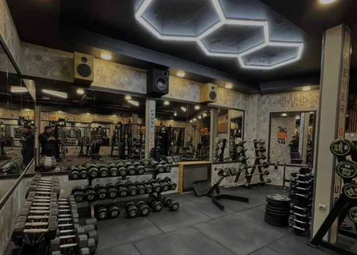 06af77ce1dd5bb453af798476cb3e496