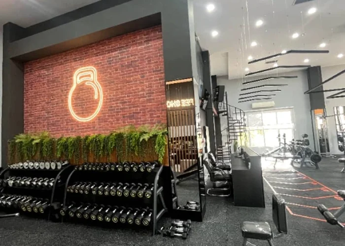 118142676732146a4d848f518e9b0862