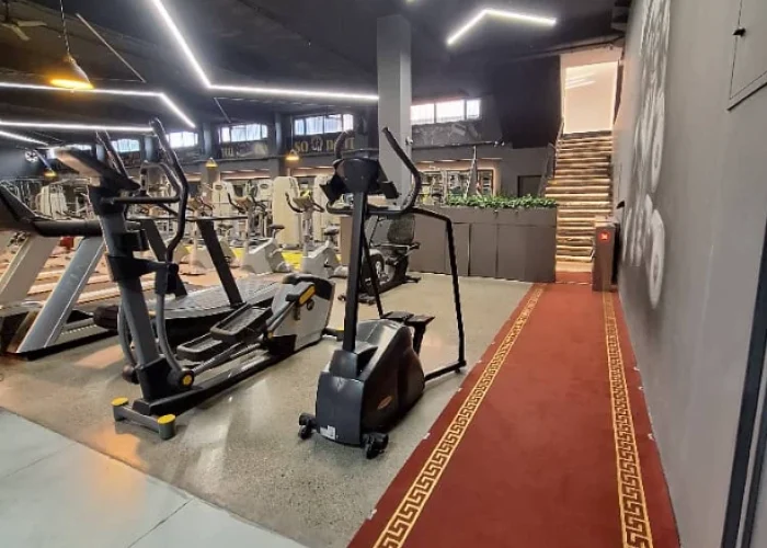 1fa1c31f9ca3877a73e3a0304dc7738a