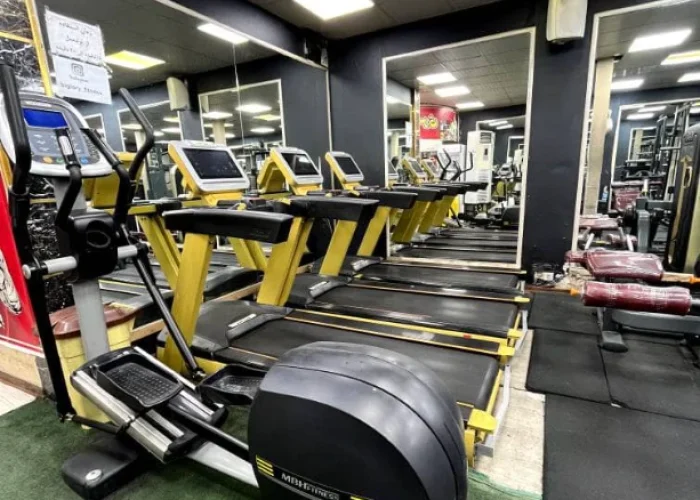 2915859546e5f85e77ba13fcfc1f8035