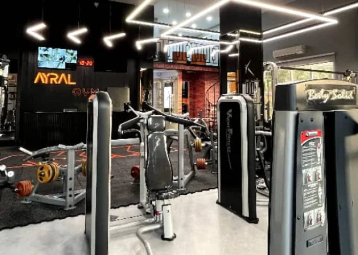 37af0b2f293969d13231a98fcf080c8c