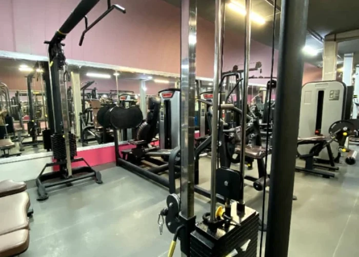 3e175a60f9c37924901a689ad804204e