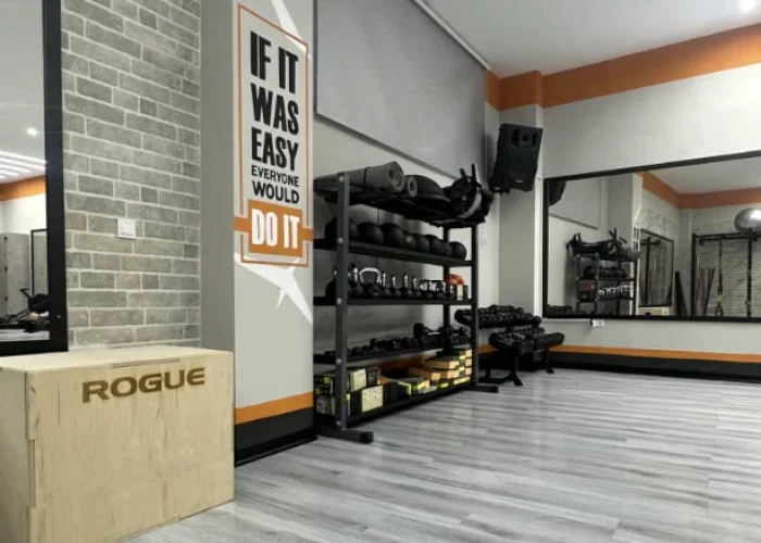 43ed04388069a018eeb1de1731584115