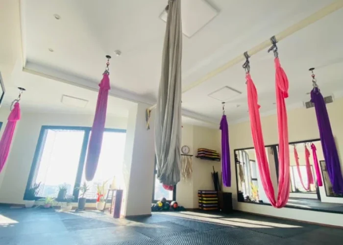 56f8583cc7839959ed1de8b85320a2f3