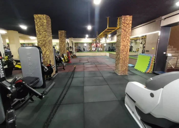 61e0415f8449c45df84a4610f2d252dc