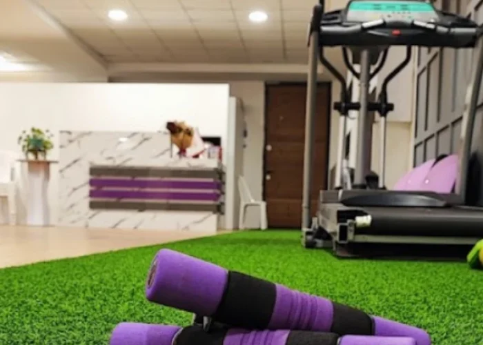 772dbbf931174e239519fdab305aa63e