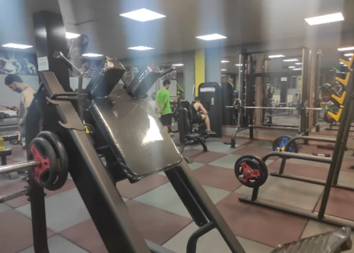 81565d50350623471043cde3a536a6c5