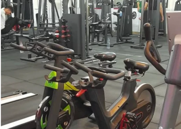 878f1b57d7c8fe9060a033499709707a