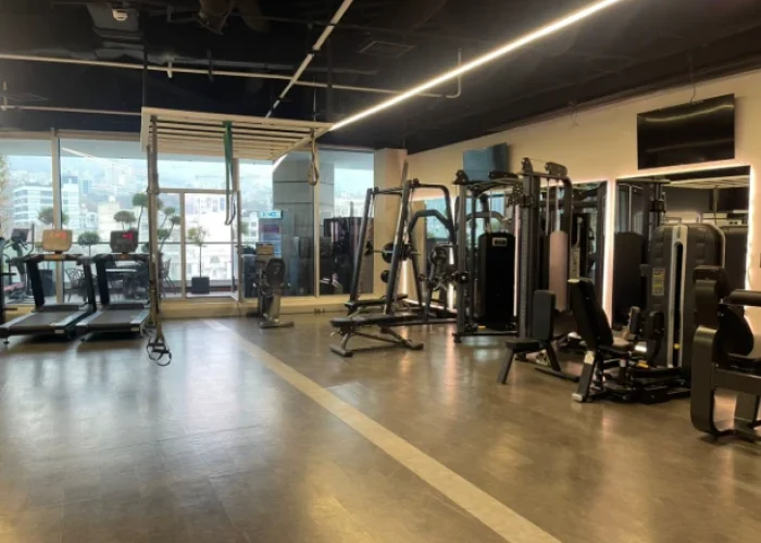 acc38455c9eb4123f80be14890e424d5