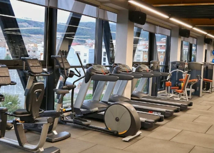 ae8c0a9f81a39cc937bec4ccef01515f