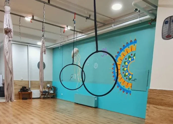 c61edd102cc74b7c9c5f634c5b3f9efe