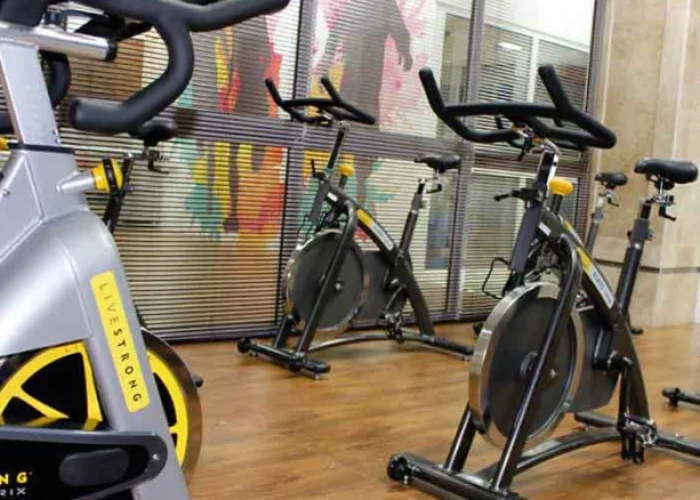 c88c4cd993dba26274a096912ef1314b