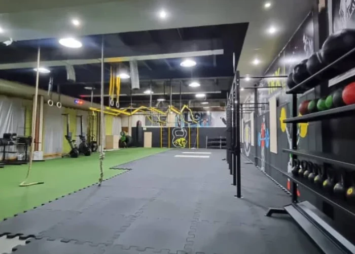 d53393c9e3e60cafbf6b094fdc0a8082