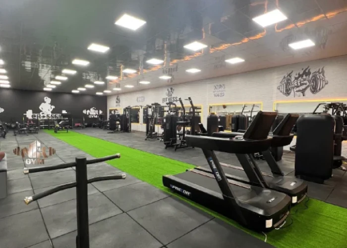 d6f8629971d1db821cbff67ca72a9a86