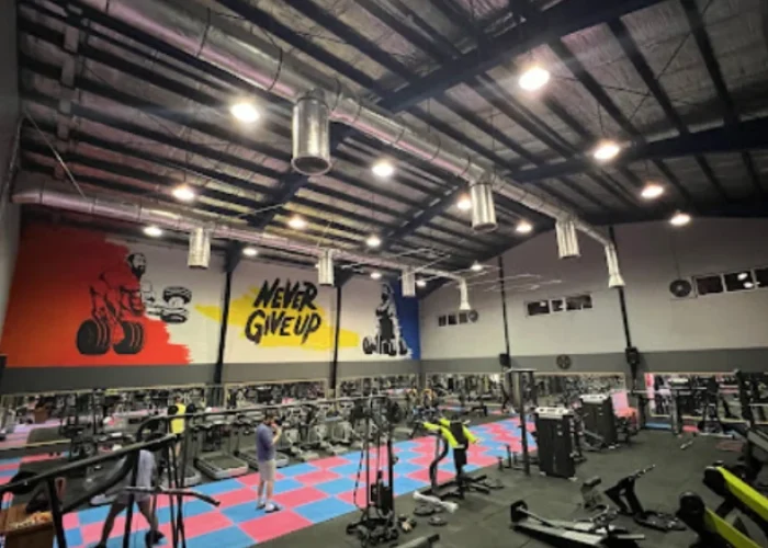 fd756d06fca1ccc0226e4c624c56a205